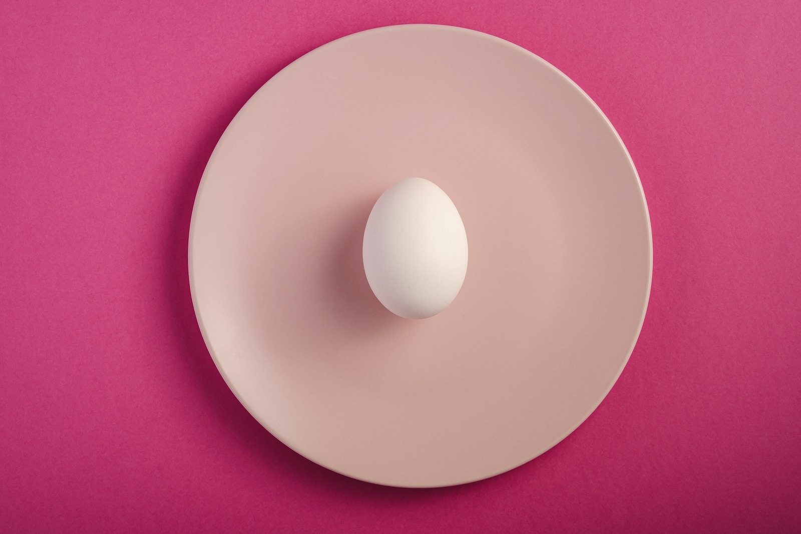Top 10 Protein-Rich Recipes With Egg Whites